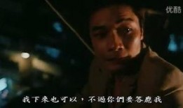 飞虎国语在线观看,热血警匪激战，忠诚与正义的较量